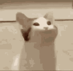 Preview image for: Yapping Session 01