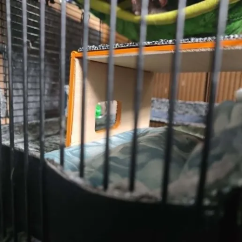 Secondary image for: Pet cage platform