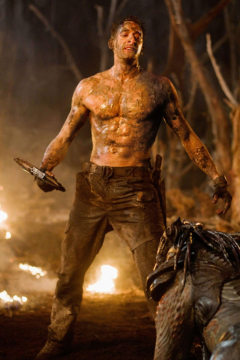 Cover image for: Predators